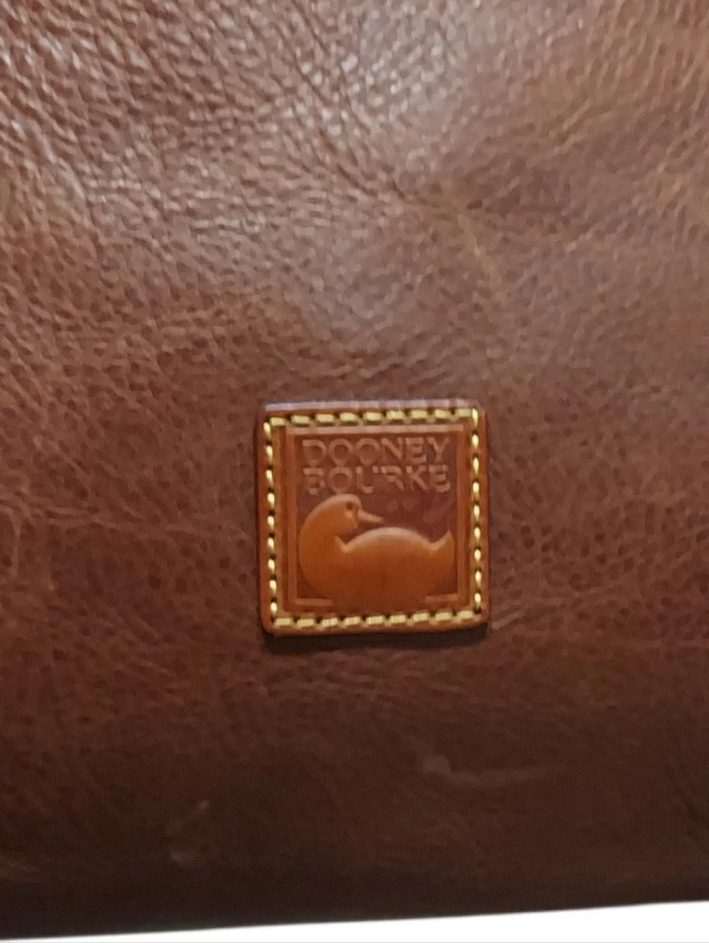 Dooney & Bourke Florentine Twist Strap Zip Hobo Bag - Picture 13 of 16